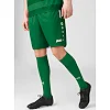 Спортивні шорти Allround JAKO 4499-200