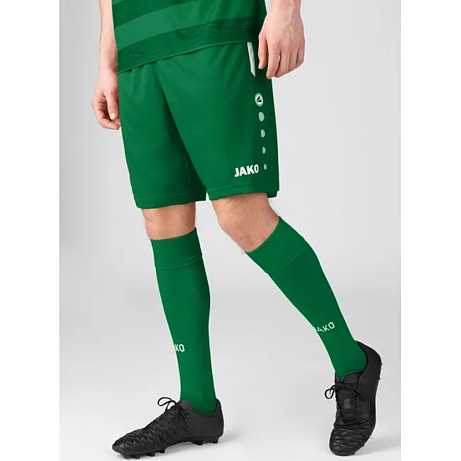 Спортивні шорти Allround JAKO 4499-200