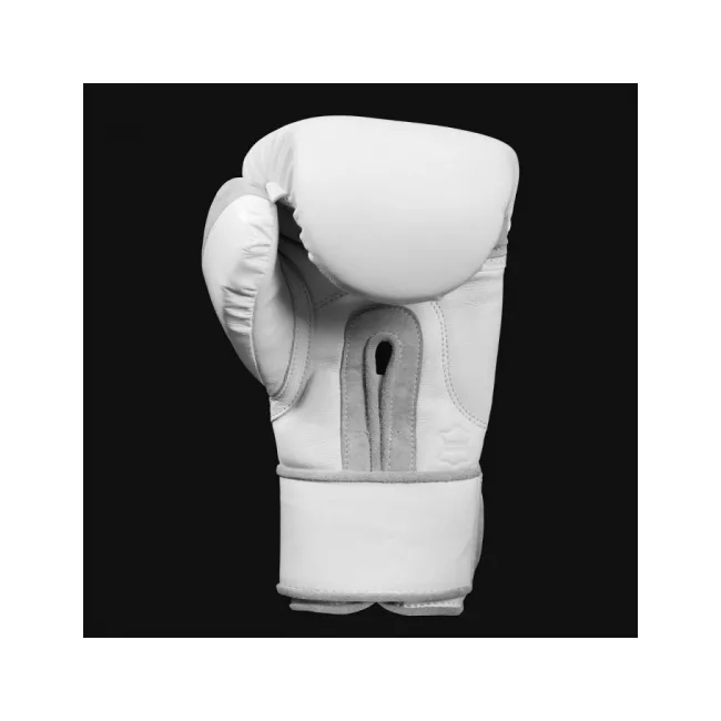 Боксерские перчатки для тренировок Title White 2.0