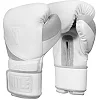 Боксерские перчатки для тренировок Title White 2.0