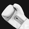 Боксерские перчатки для тренировок Title White 2.0
