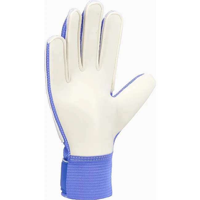 Воротарські рукавиці NIKE NK GK MATCH JR - HO24 синій, білий (для дітей)