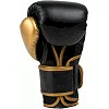 Боксерські рукавиці EVERLAST POWERLOCK 2R TRAINING GLOVE чорний, золотий 16 унцій