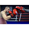 Лапы для бокса POWERPLAY 3041 Черно-Красные PU