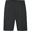 Спортивні шорти world JAKO 4430-850