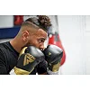 Боксерські рукавиці RDX MARK PRO SPARRING TRI LIRA 2 GOLDEN (капа в комплекті)