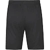 Спортивные шорты world JAKO 4430-850