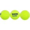 Мячи для падел тенниса TELOON PADEL WZPA818003-PADEL TP-6063 3шт