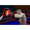 Лапы для бокса POWERPLAY 3041 Черно-Красные PU
