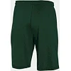 Спортивні шорти Under Armour Raid 10 Forest Green