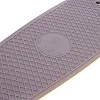 Скейтборд Пенні Penny SK-410-9