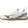 Кроссовки мужские MIZUNO WAVE MIRAGE 2.1 - Wht/Blk /High-r