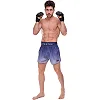 Шорты для кикбоксинга
 FAIRTEX BS1905 BLACK/BLUE