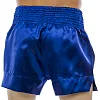 Шорти для кікбоксингу FAIRTEX BS0664