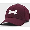 Кепка UNDER ARMOUR Men&s Blitzing мужская
