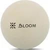 М'яч для пілатесу Mini BLOOM LB7000-20 20см
