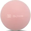 М'яч для пілатесу Mini BLOOM LB7000-20 20см