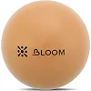 М'яч для пілатесу Mini BLOOM LB7000-20 20см