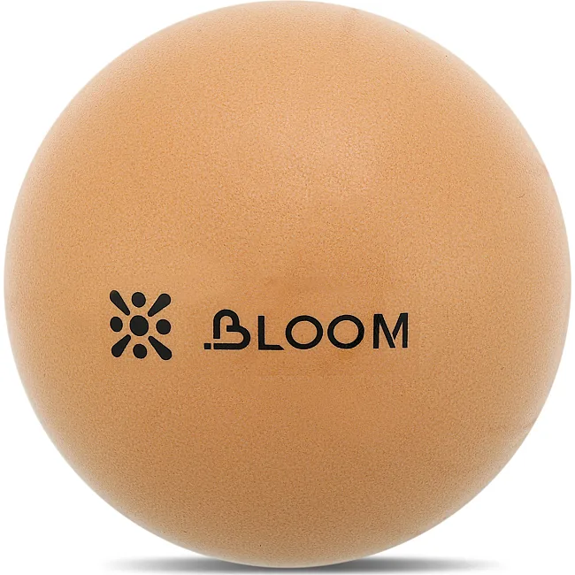 М'яч для пілатесу Mini BLOOM LB7000-20 20см