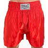 Шорти для тайського боксу та кікбоксингу EVERLAST ULI-9007