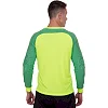 Вратарская форма SP-SPORT CO-029