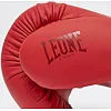 Боксерские перчатки Leone GN058 TONE X Red