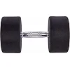 Гантель професійна
 з поліуретановим покриттям TECHNOGYM LN-1254-32_5 1шт 32,5кг
