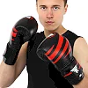 Перчатки для бокса


 кожаные FISTRAGE RAGE VL-6370 (Черный-красный)