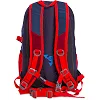 Рюкзак спортивний із жорсткою спинкою COLOR LIFE TY-5293 (44,5х27х17,5см)