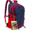 Рюкзак спортивний із жорсткою спинкою COLOR LIFE TY-5293 (44,5х27х17,5см)