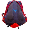 Рюкзак спортивний із жорсткою спинкою COLOR LIFE TY-5293 (44,5х27х17,5см)