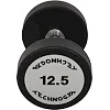 Гантель професійна
 з поліуретановим покриттям TECHNOGYM TG-1834-12_5 1шт 12,5кг
