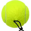 Тренажер для большого тенниса - мяч на резинке с утяжелителем TELOON TENNIS TRAINER T818C