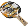 Ракетка для настольного тенниса DONIC Legends 300 FSC MT-705234