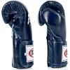 Боксерские перчатки Fairtex BGV5 Blue