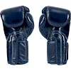 Боксерские перчатки Fairtex BGV5 Blue