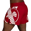 Шорти для кікбоксингу HAYABUSA Icon Kickboxing Red