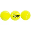 Теннисный мяч HEAD ATP METAL CAN 570303 3шт