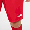Спортивные шорты manchester 2.0 c104 JAKO 4400-01