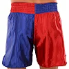 Шорты для кикбоксинга TWINS


 KICKBOXING BO-9950 (Красный-синий)