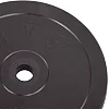 Блины диски обрезиненные SHUANG CAI SPORTS TA-1445-10S 30мм 10кг