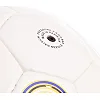 Футбольний м'яч INTER FB-2134 №5