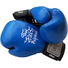 Боксерские перчатки Thai Professional BG5VL Синие