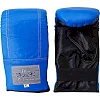 Снарядные перчатки Thai Professional BG6 Синие