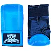 Снарядные перчатки Thai Professional BG6 Синие