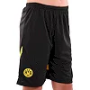 Футбольна форма дитяча із символікою клубу
 BORUSSIA DORTMUND гостьова 2025 SP-SPORT

 CO-4749 20-28 (Чорний-жовтий)