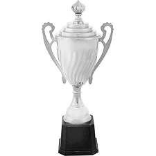 Спортивний кубок нагородний SP-SPORT Goblet 140 смF 27,5 см (Срібний)