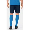 Спортивные шорты manchester 2.0 c104 JAKO 4400-90