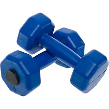 Гантели для фитнеса пластиковые Champion TA-9820-1_5 2шт 1,5кг (Синий)