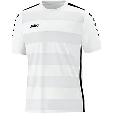 Футболка Celtic 2.0 JAKO 4205-00